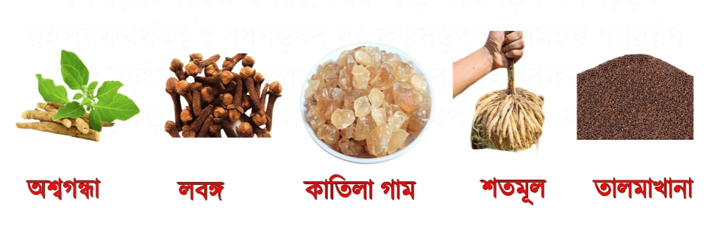 অশ্বগন্ধা, লবঙ্গ, কাটিলা গাম, শতমূল, তালমাখানা